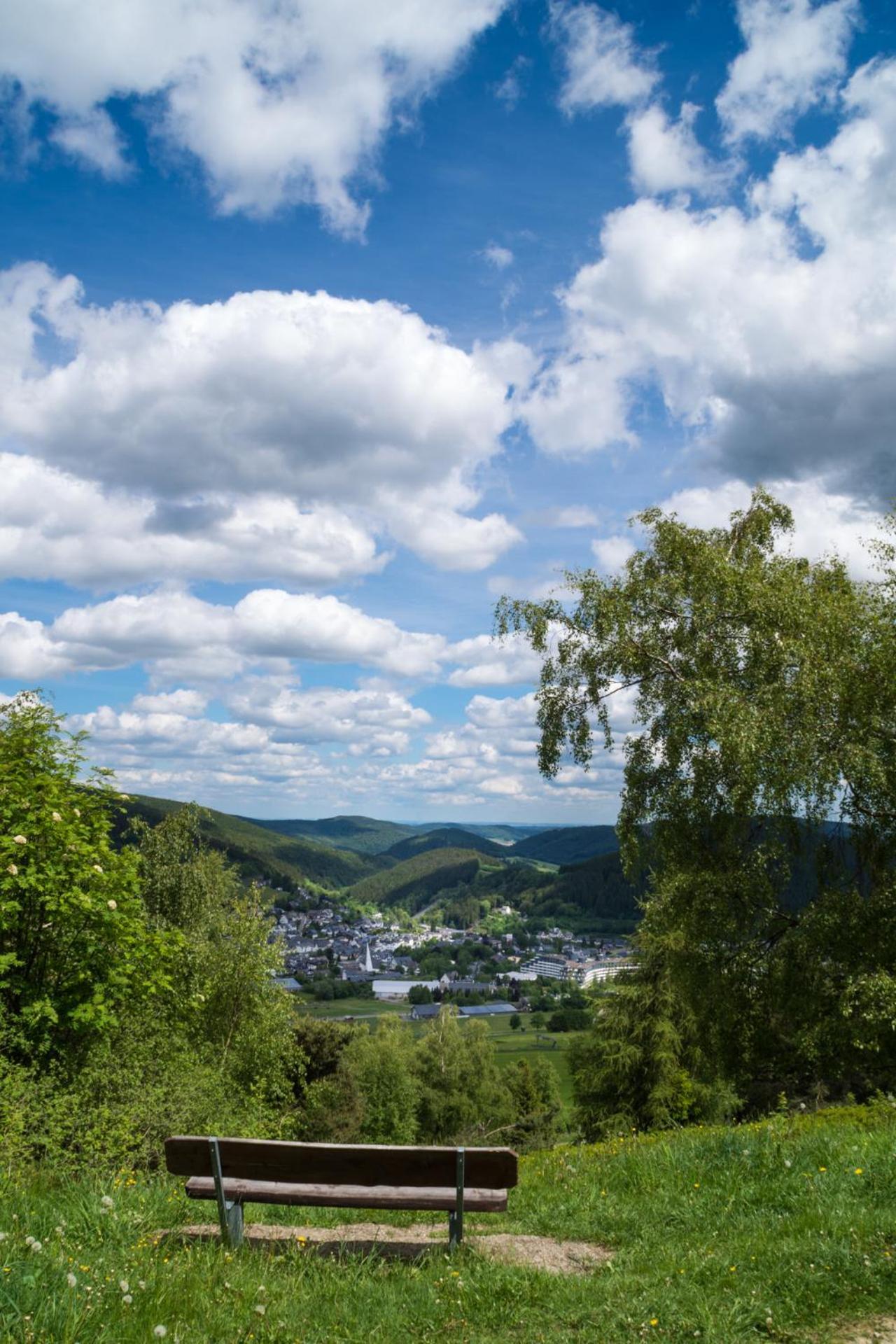 Ferienwohnung Zur Schoenen Aussicht-rueters Parkhotel Apartment Willingen (Upland)